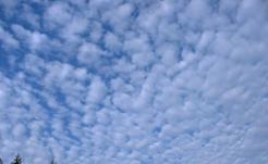 stratocumulus.jpg